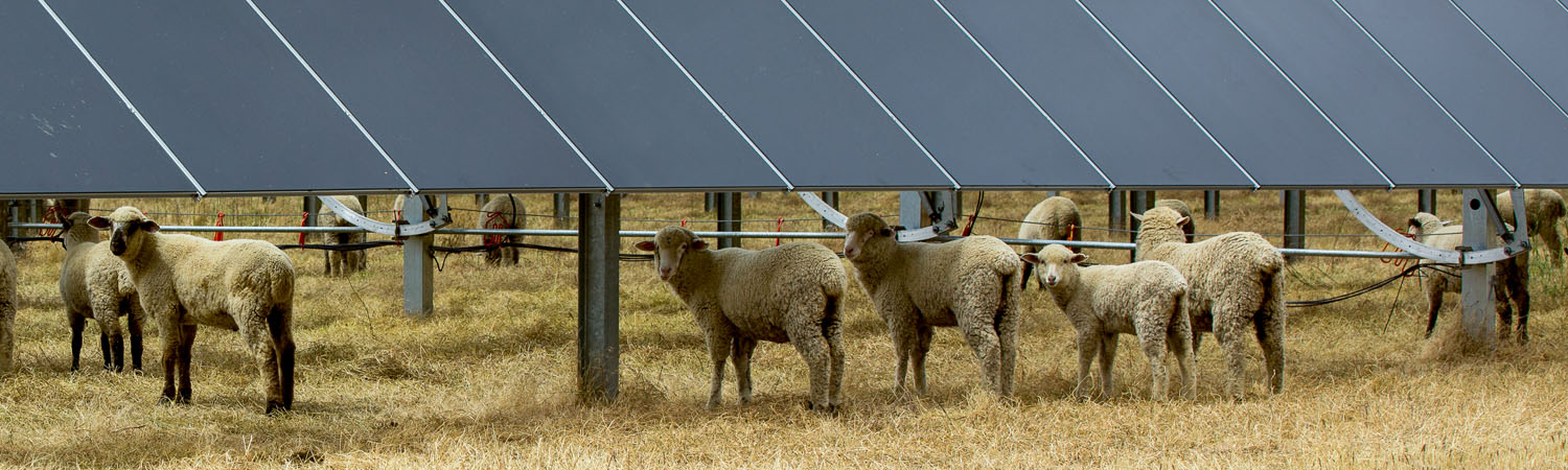 Environmental Stewardship